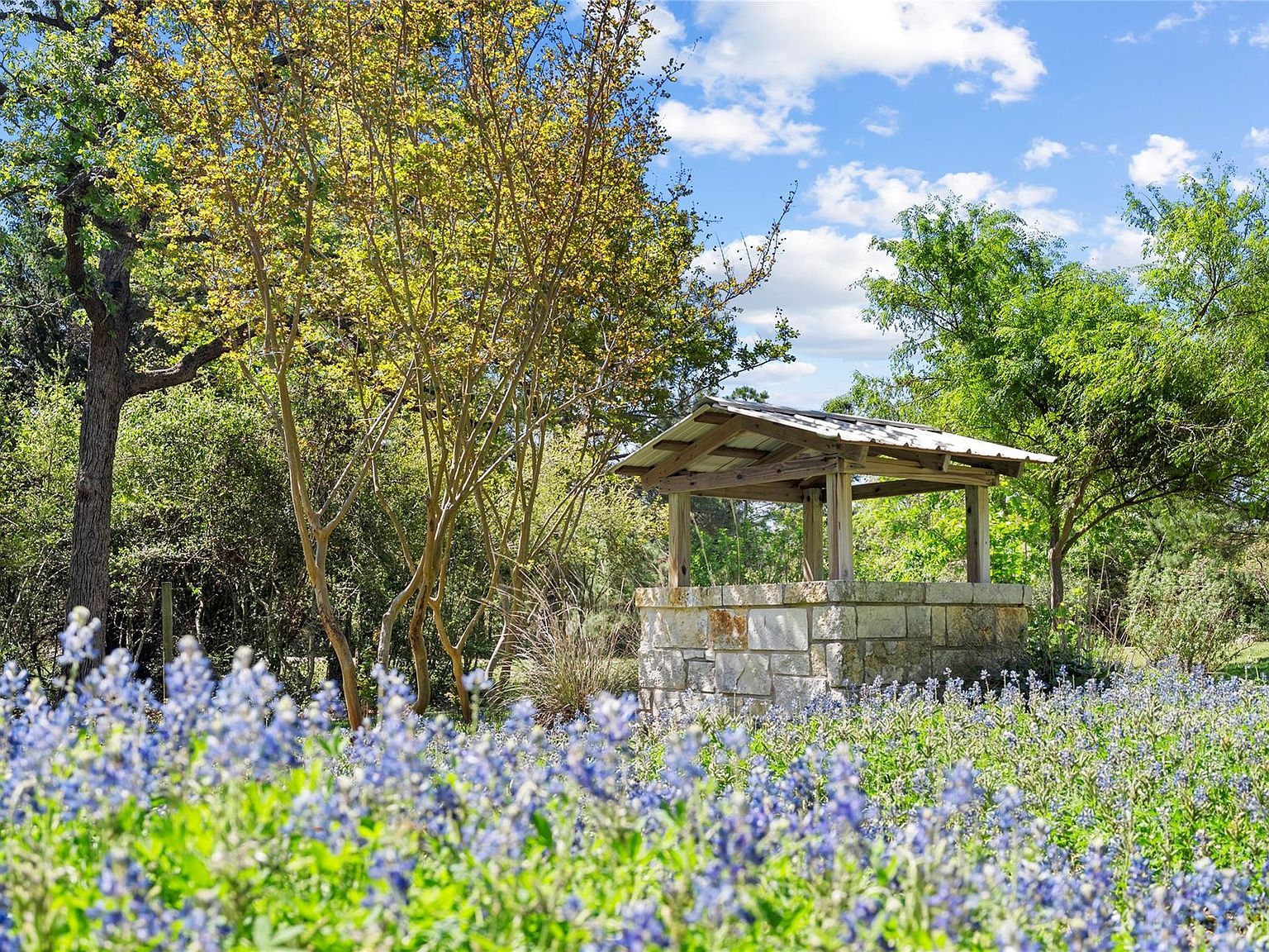 119 Maple Leaf Trl Elgin, TX 78621 - Thumbnail 4