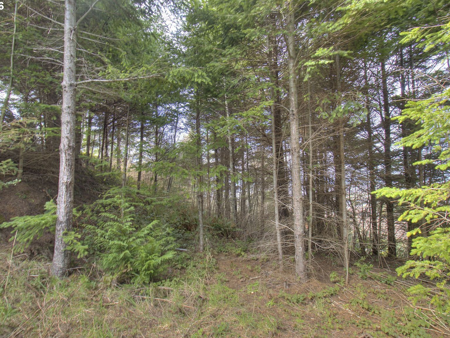 Seaview Ln Gold Beach, OR 97444 - Thumbnail 4