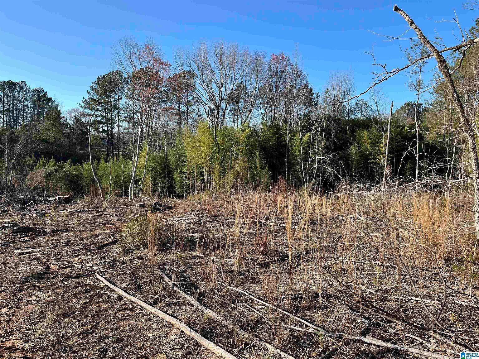 50864 Highway 22 Tract #1 Wadley, AL 36276 - Thumbnail 4