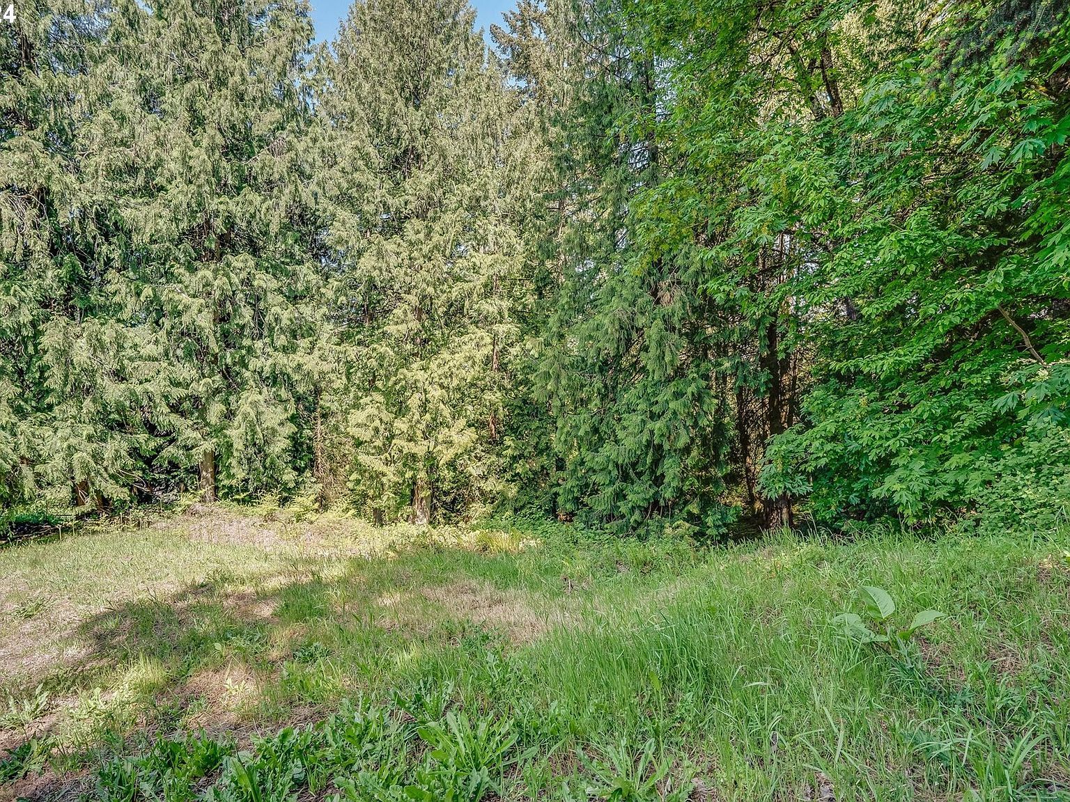 SE Duke St Portland, OR 97236 - Thumbnail 4