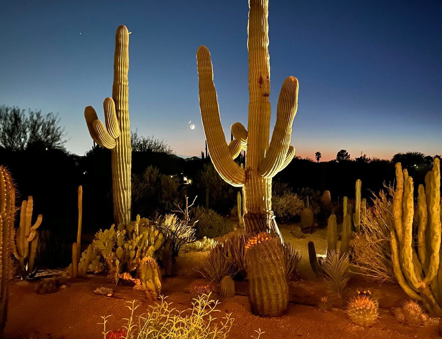 31221 N 61st St Cave Creek, AZ 85331 - Thumbnail 4