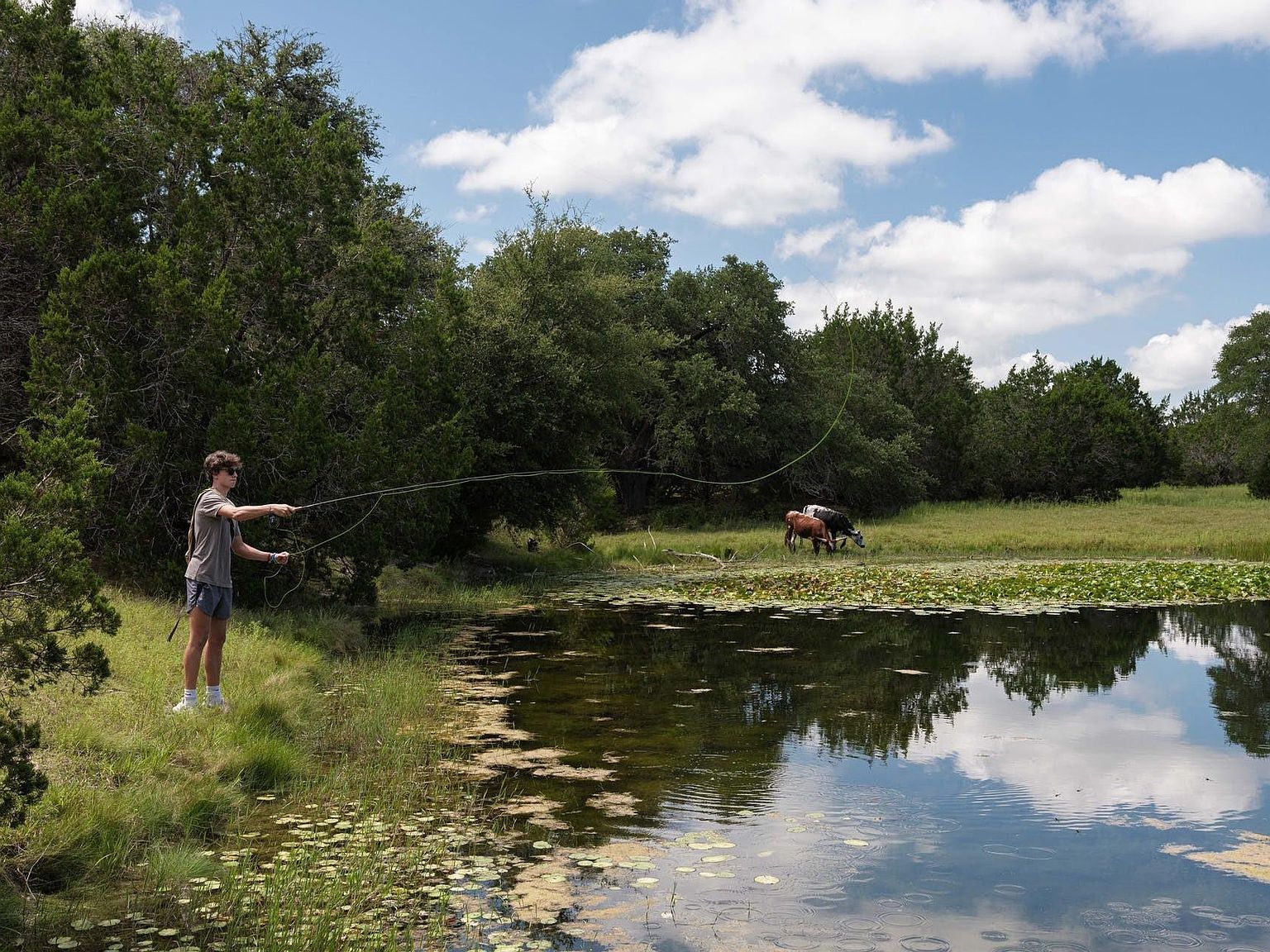 234 Zonetail Austin, TX 78737 - Thumbnail 4