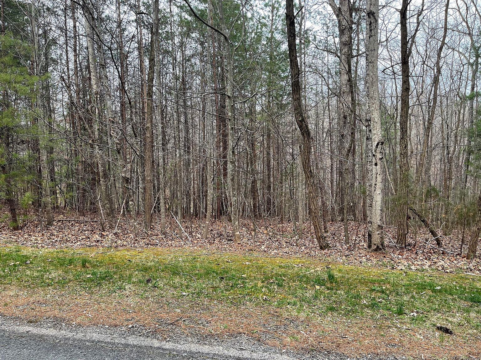 LOT-70A Boxwoodgreen Dr Wirtz, VA 24184 - Thumbnail 4