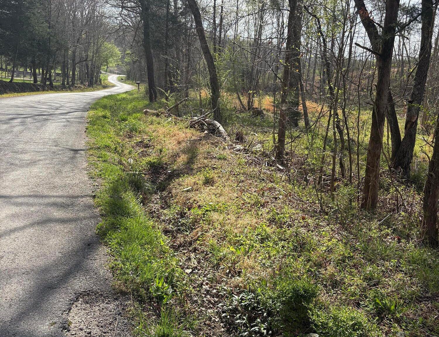 706 Arwine Rd Decatur, TN 37322 - Thumbnail 4