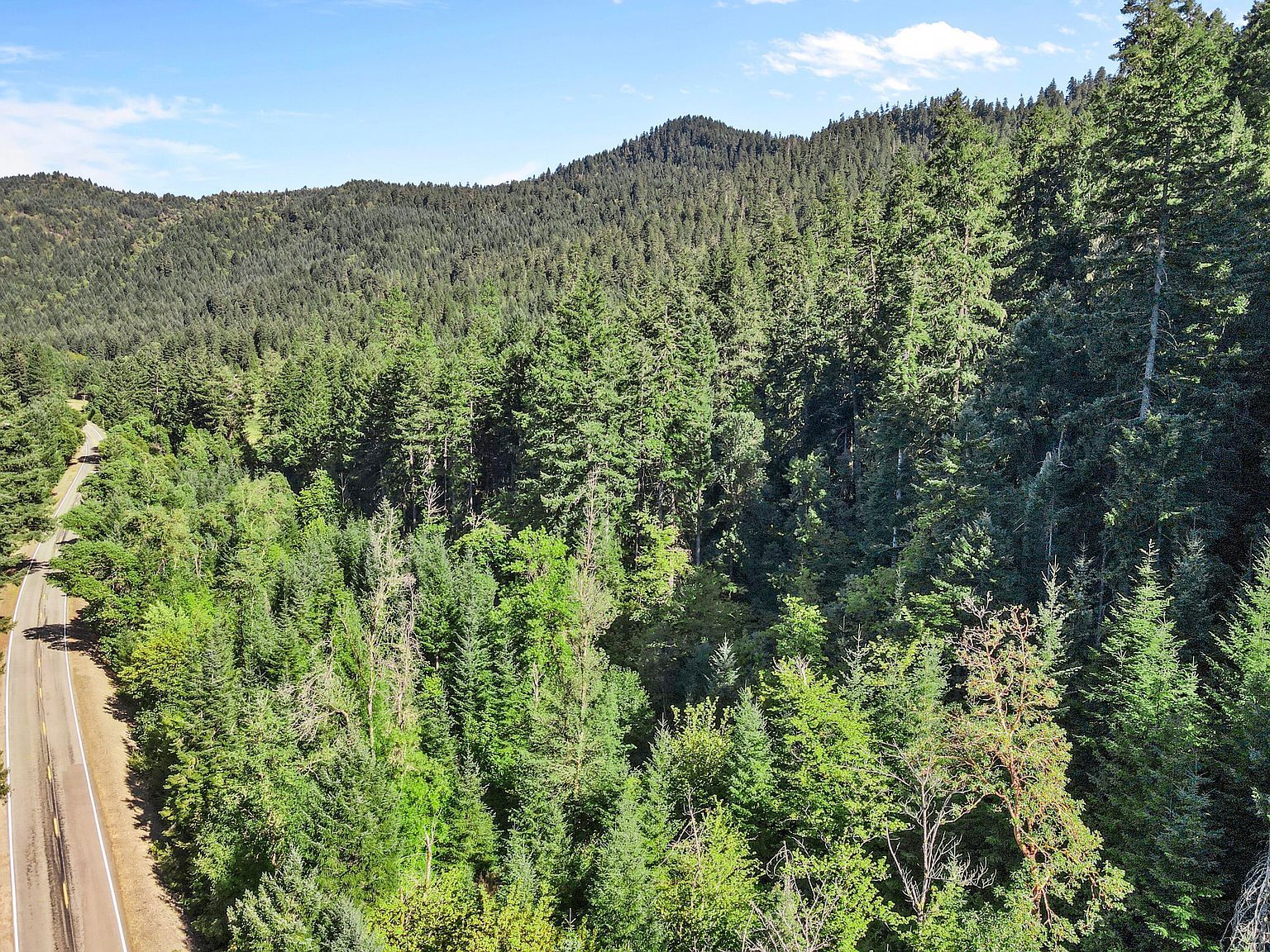 0 Mount Reuben Rd Glendale, OR 97442 - Thumbnail 4