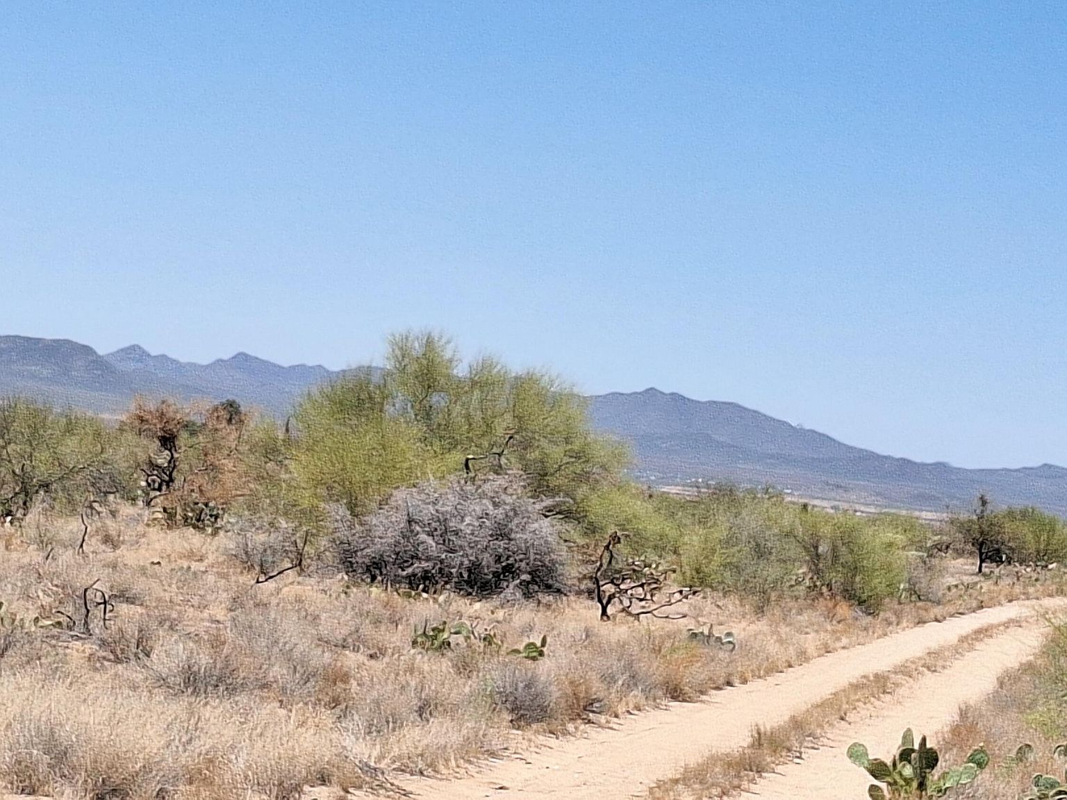 14465 S Ezra Pl #358 Tucson, AZ 85736 - Thumbnail 4