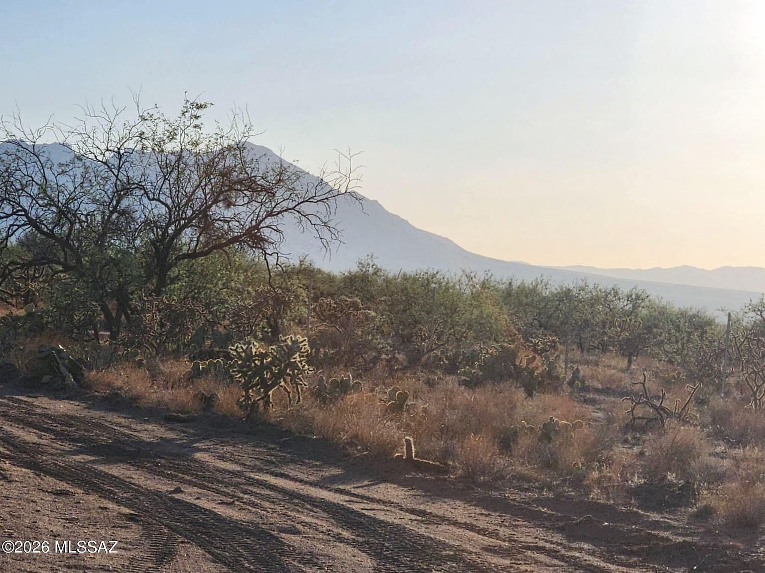 15035 S Muldoon Ave #115 Tucson, AZ 85736 - Thumbnail 4