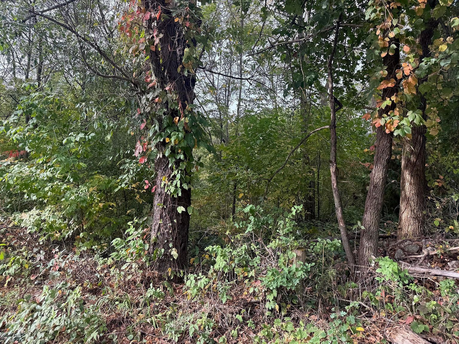 4403 Flint Lake Gtwy Valparaiso, IN 46383  | Land/Lot