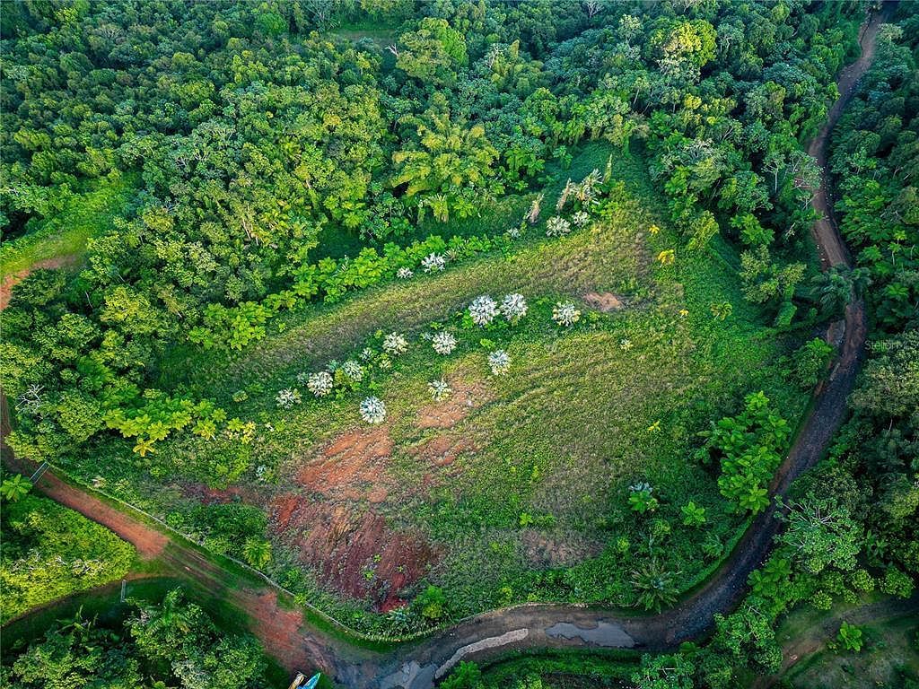 Naranjo Ward Int Pr #984 Fajardo, PR 00738 - Thumbnail 4