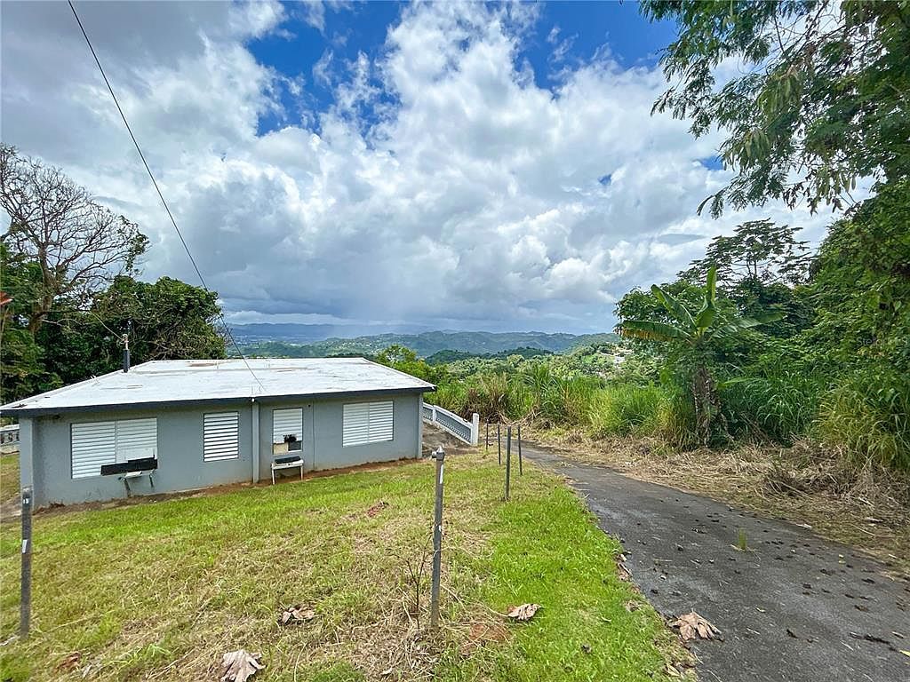 Bo Borinquen Carr #763 Caguas, PR 00725 - Thumbnail 4