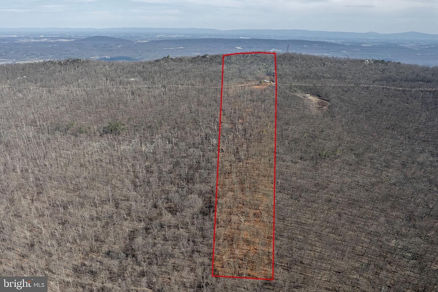 951 Bobcat Trl Winchester, VA 22602 - Thumbnail 4