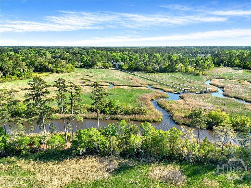 160 Sterling Creek Point Richmond Hill, GA 31324 - Thumbnail 4