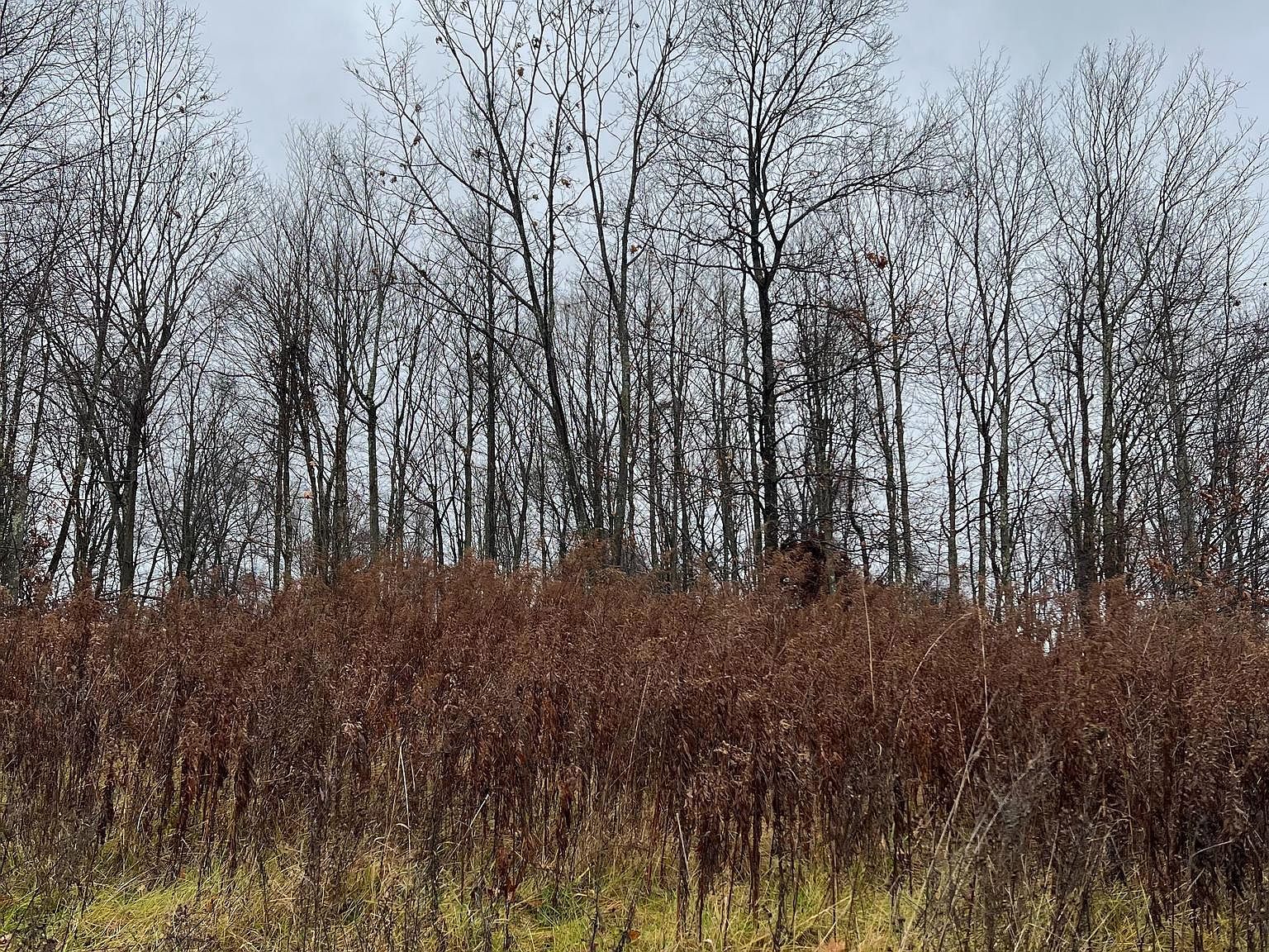 0 University Dr Glen Hope, PA 16645 - Thumbnail 4