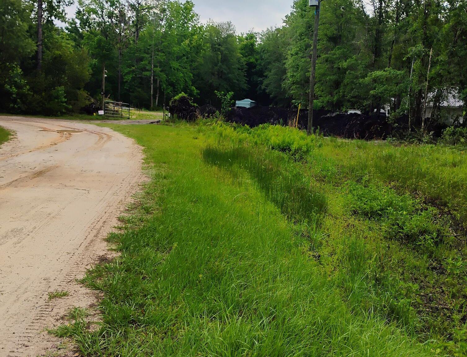 228 Atkins Rd Georgetown, FL 32139 - Thumbnail 4