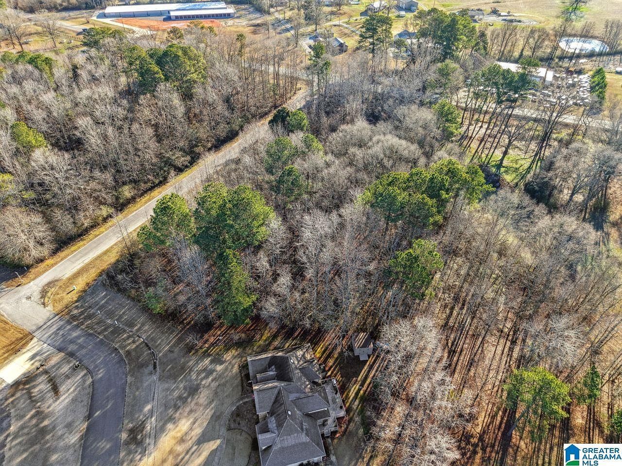 0 Branch Cv #25 Odenville, AL 35120 - Thumbnail 4