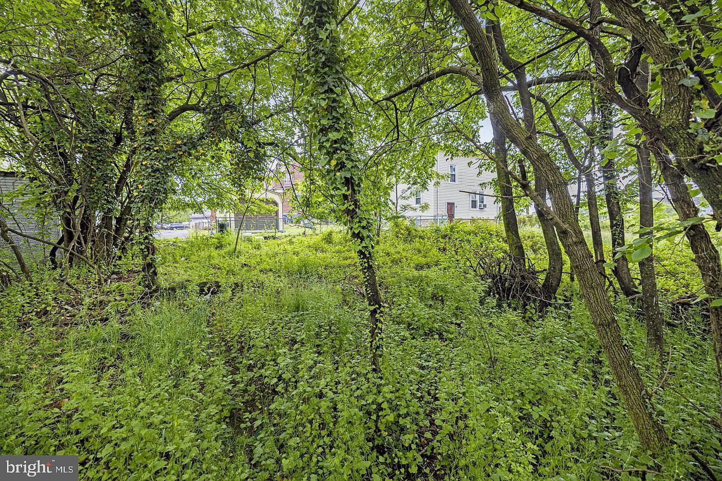 3105 22nd St SE Washington, DC 20020 - Thumbnail 4