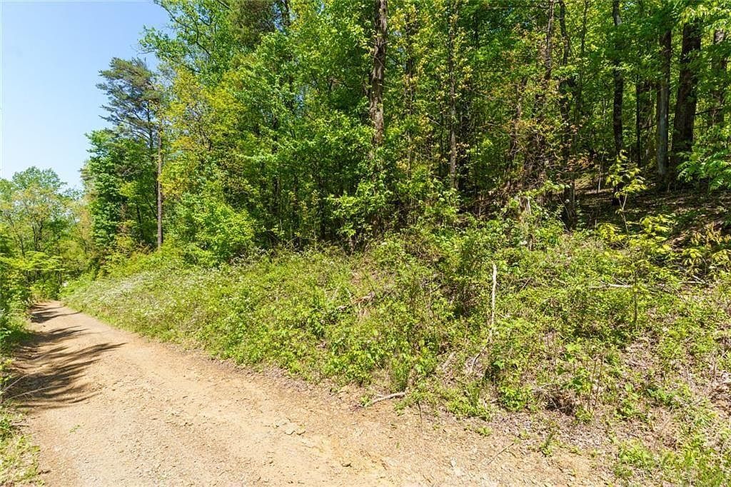 0 Fire Tower Rd Lot 7 Jasper, GA 30143 - Thumbnail 4
