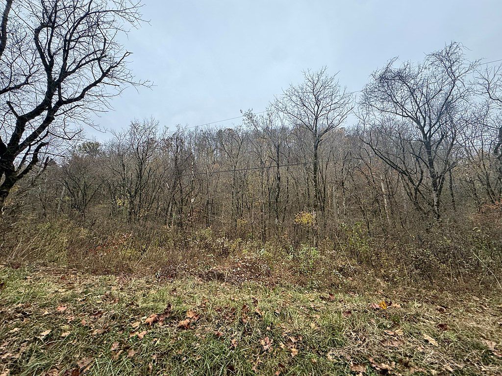 0 Pine Lick Rd Whitleyville, TN 38588 - Thumbnail 4