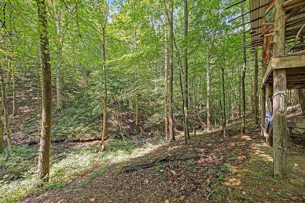 225 Richardson Ln Gainesboro, TN 38562 - Thumbnail 4