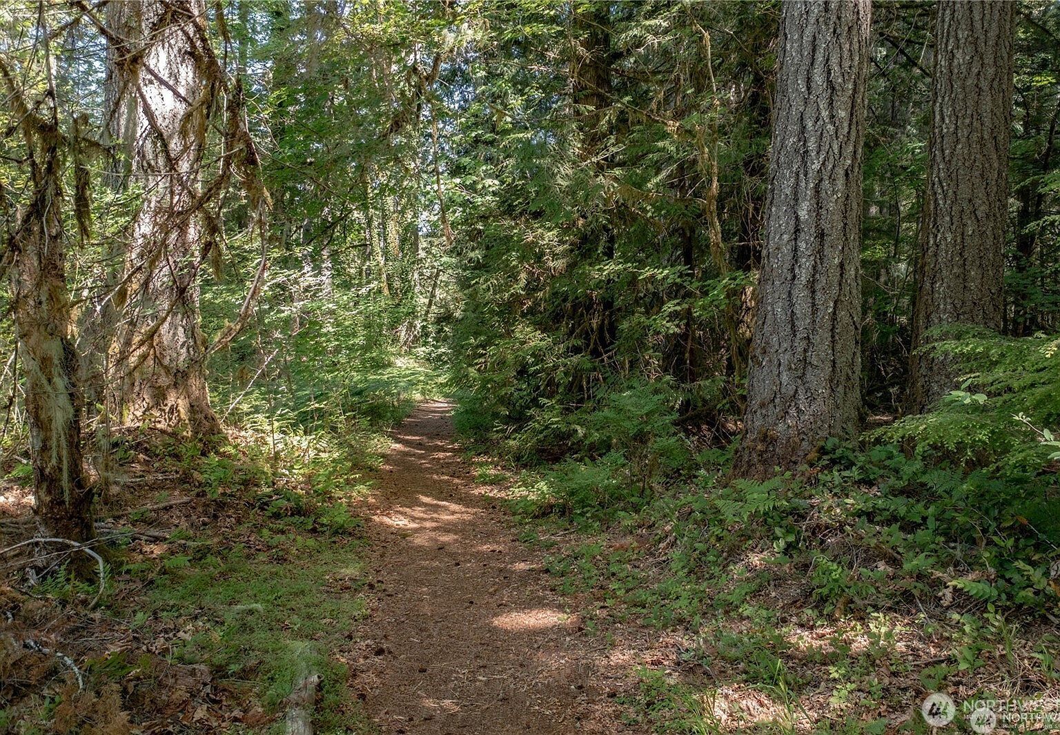 220 N Duckabush Dr W Hoodsport, WA 98548 - Thumbnail 4