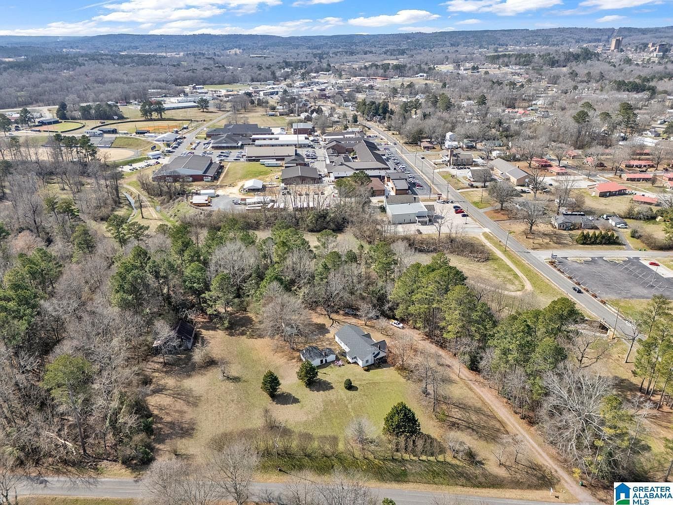 301 Williams Ave SE Hanceville, AL 35077 - Thumbnail 4