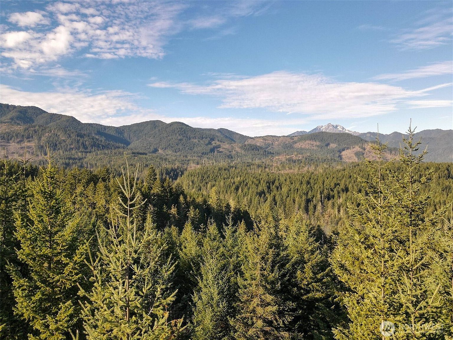 0 N Hamma Ridge Ct Lilliwaup, WA 98555 | Land/Lot