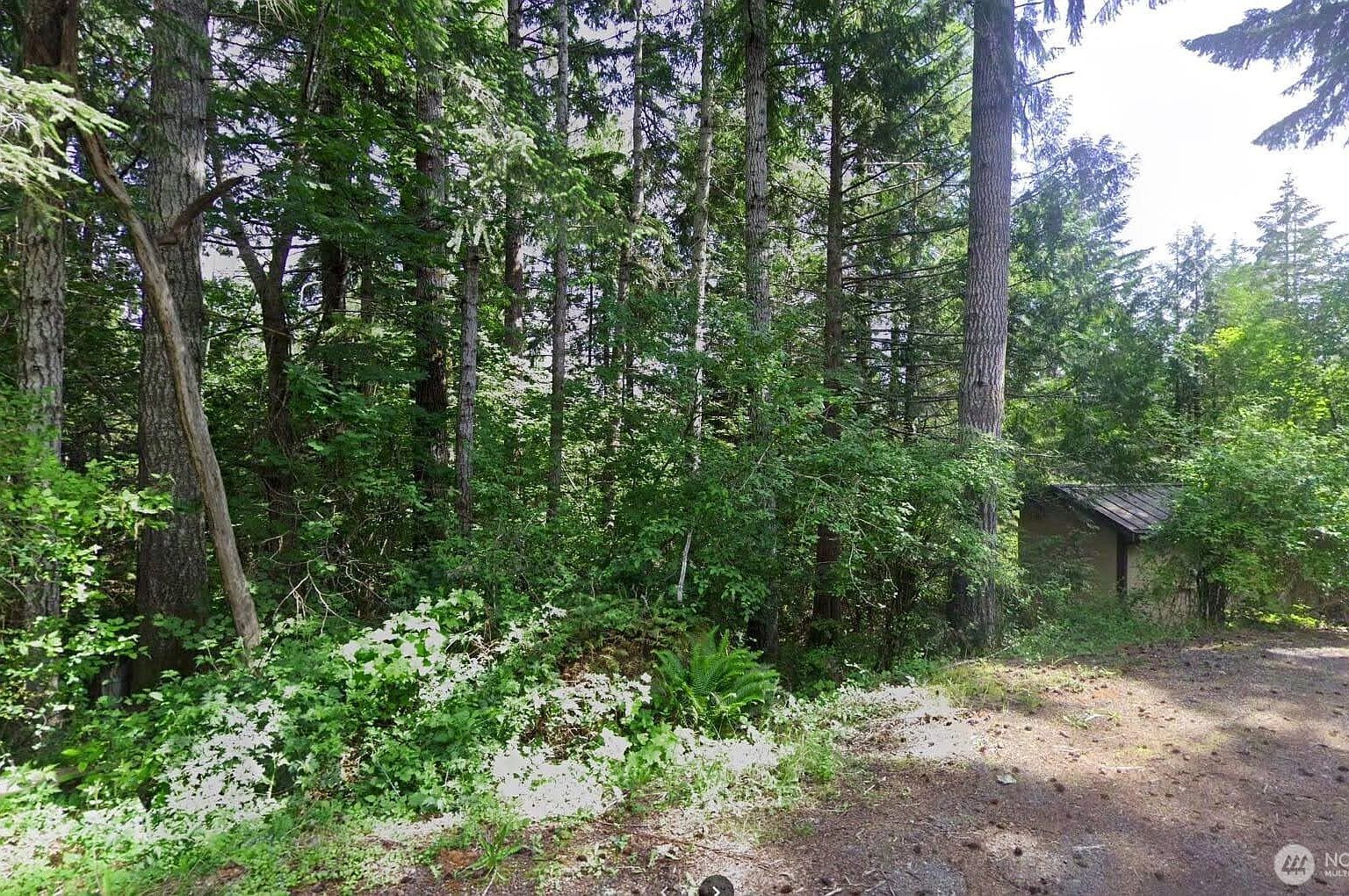 LOT 130 B Pln #15 Hoodsport, WA 98548 - Thumbnail 4