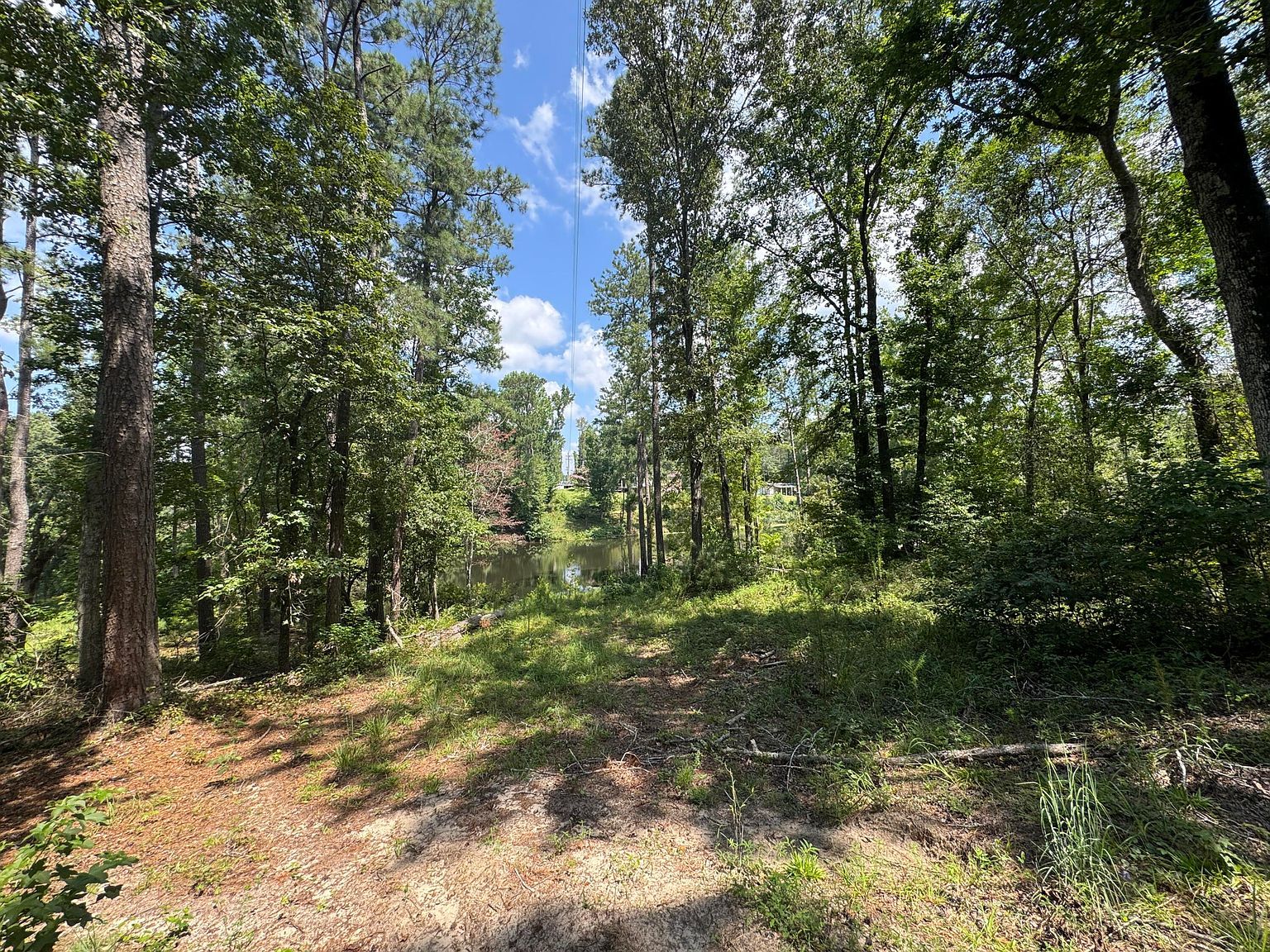 0 Hummingbird Dr Trenton, SC 29847 - Thumbnail 4