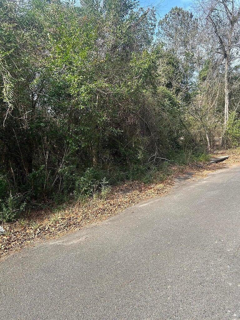 0 Robinson Dr New Ellenton, SC 29809 - Thumbnail 4