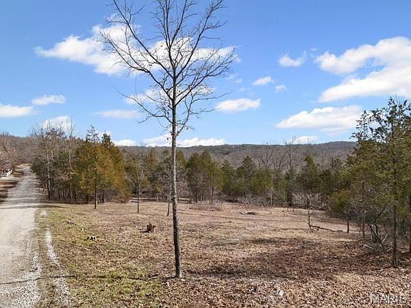 Cedar Ln Festus, MO 63028 - Thumbnail 4