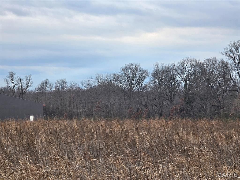 0 Two Mile Rd Dexter, MO 63841 - Thumbnail 4