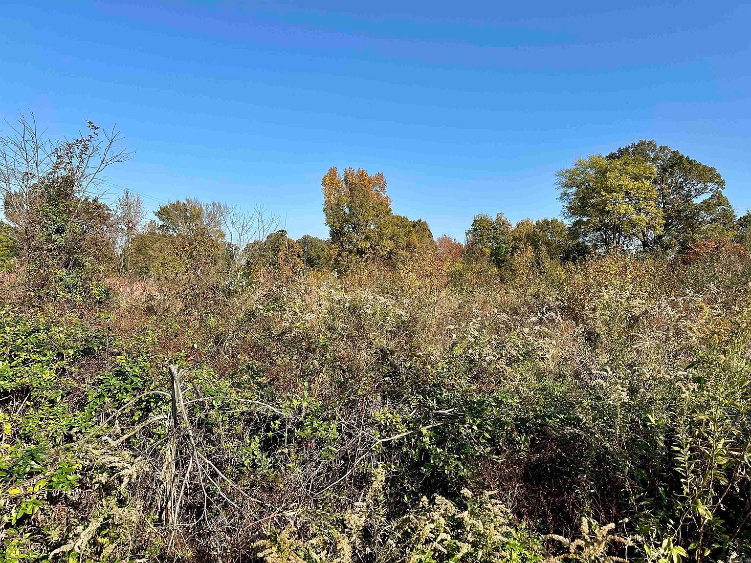 2353 County Road 760 Jonesboro, AR 72405 - Thumbnail 4