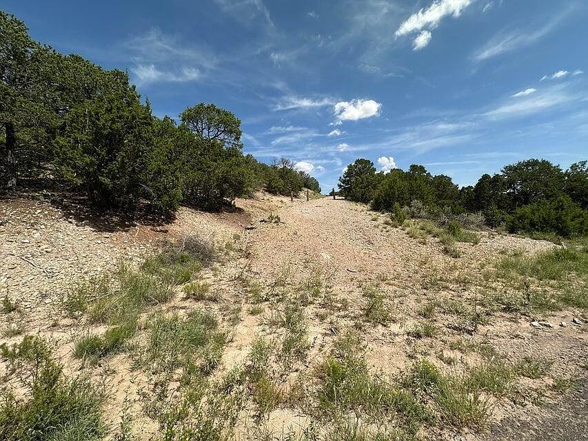 52 Sandia Mountain Ranch Dr Tijeras, NM 87059 - Thumbnail 4