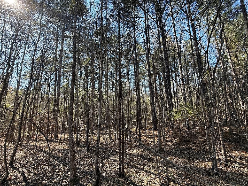 0 Markham Rd Bradley, SC 29819  | Land/Lot