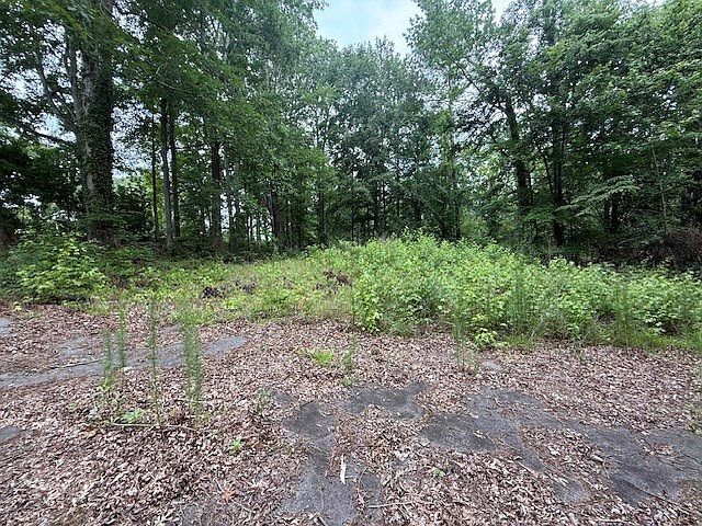 410 Dogwood Dr Greenwood, SC 29646 - Thumbnail 4