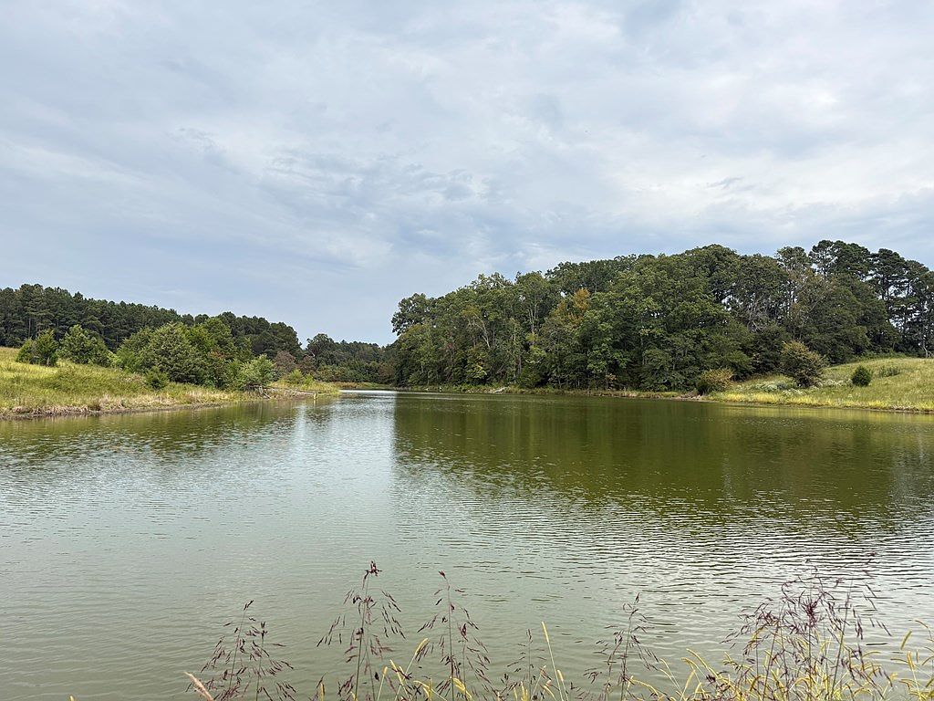 715 Highway 246 N Greenwood, SC 29649 - Thumbnail 4