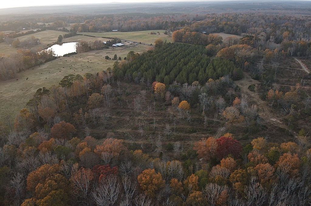 0 Rock House Rd Greenwood, SC 29646 - Thumbnail 4