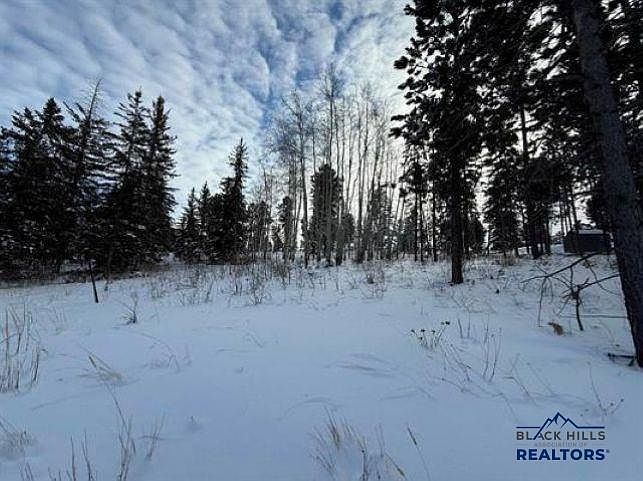 Smokey Court Trail Side Addnsmokey Stoke Ct LOT 31 Lead, SD 57754 - Thumbnail 4