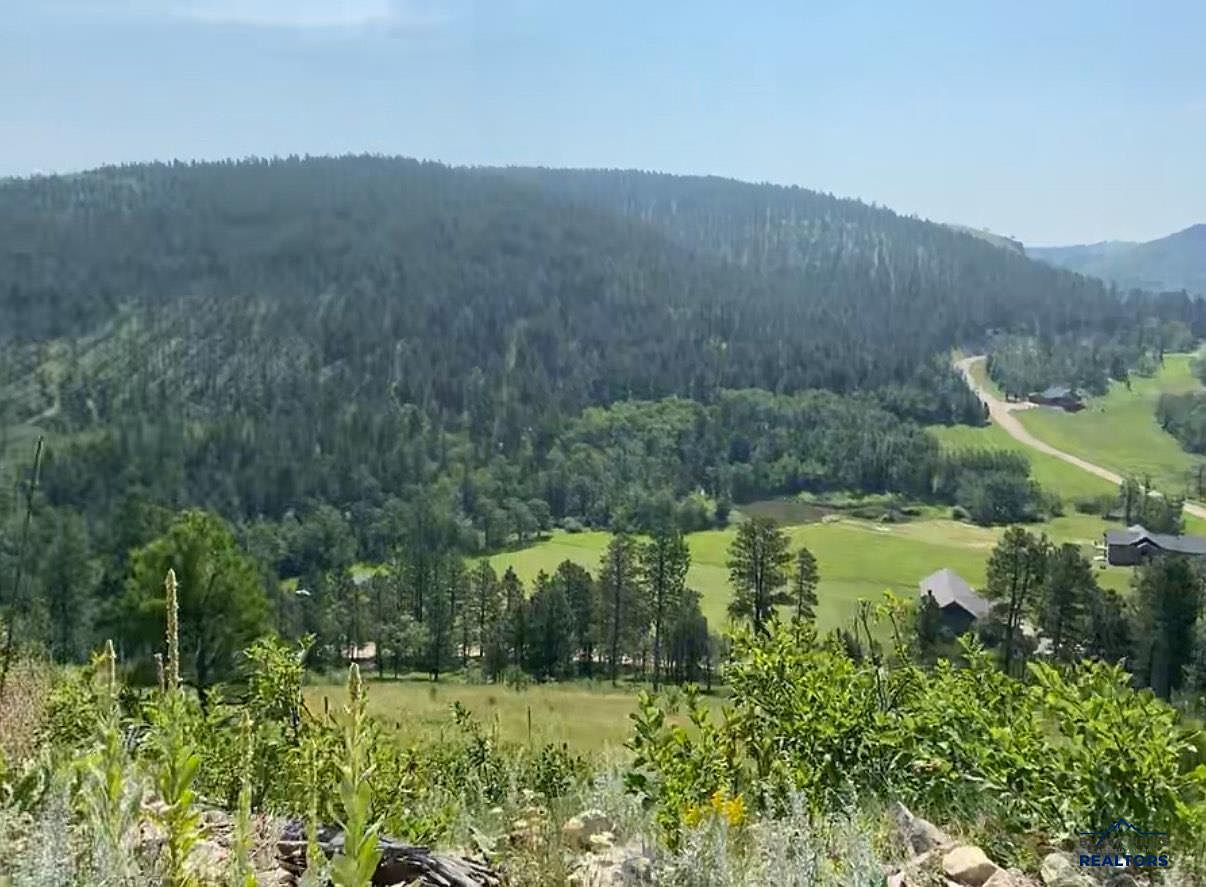 Two Bit Rd LOT 31 Sturgis, SD 57785 - Thumbnail 4