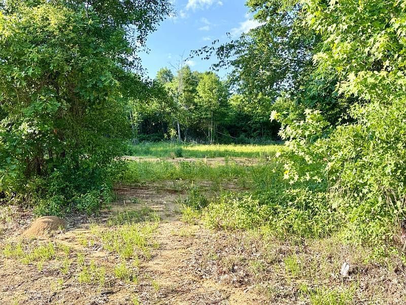 499 County Road 136 Okolona, MS 38860 - Thumbnail 4