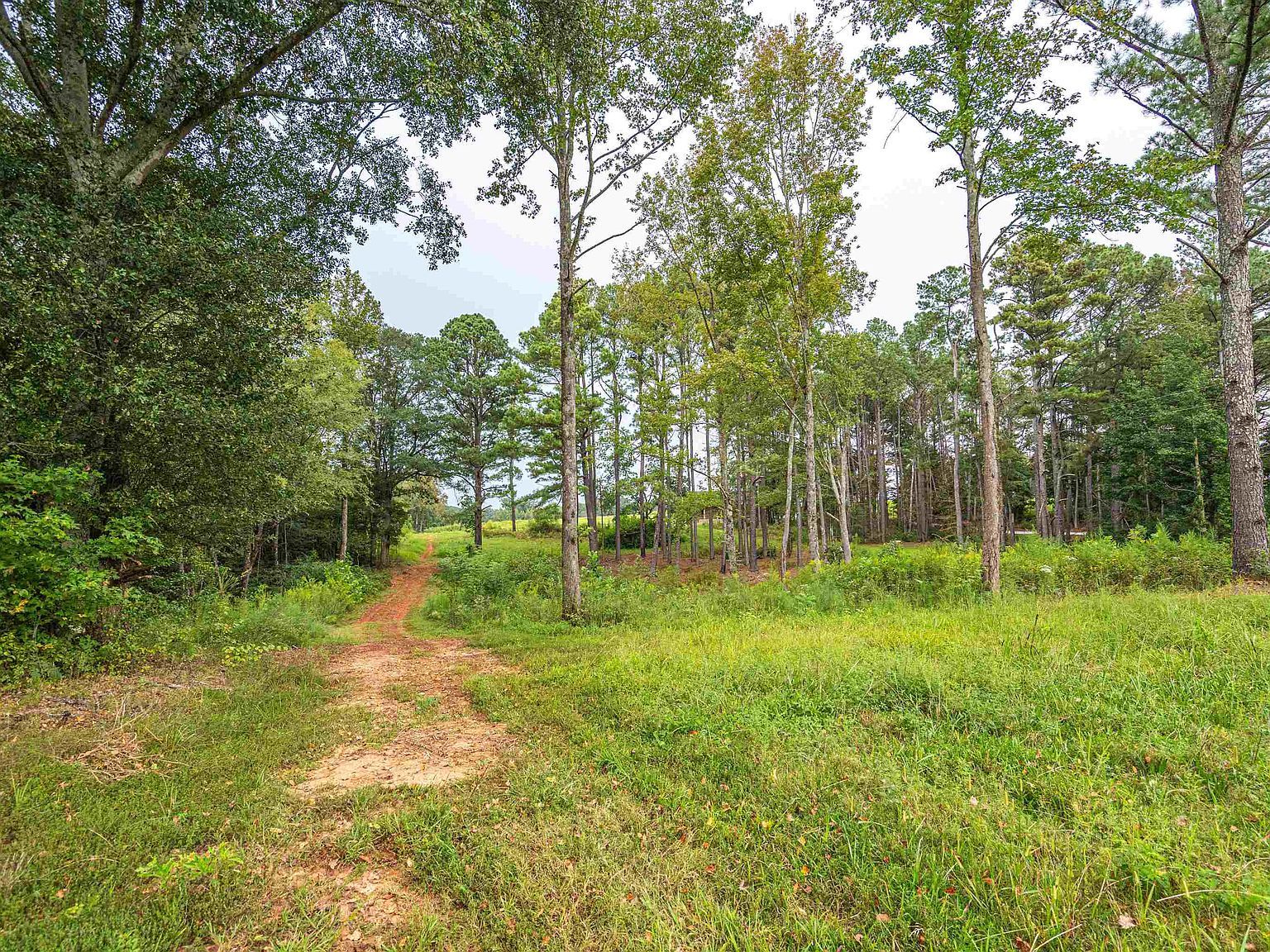 TRACT 1 State Highway 99 Anderson, AL 35610 - Thumbnail 4