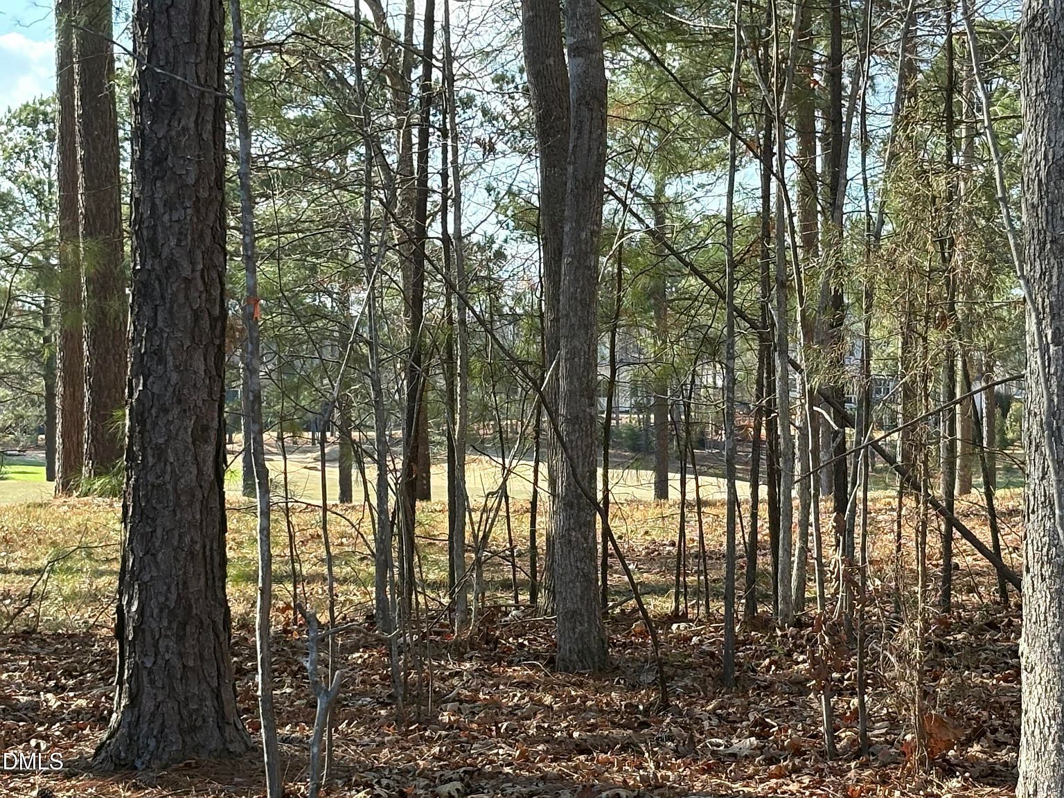 490 Chapel Ridge Dr Pittsboro, NC 27312 - Thumbnail 4