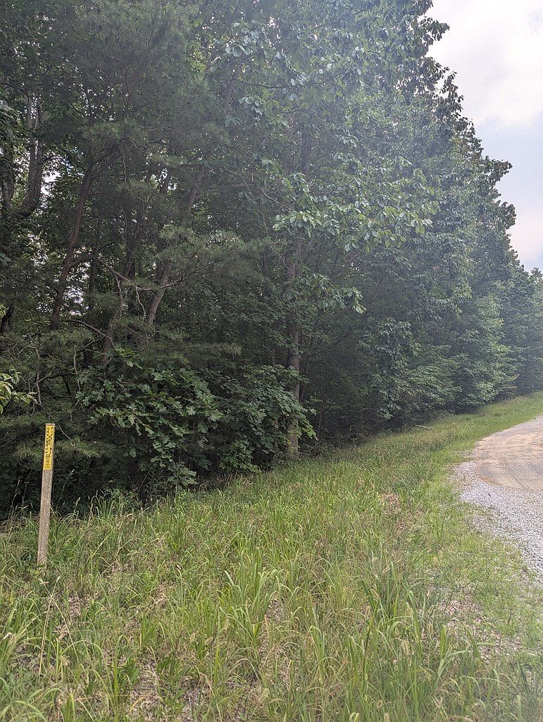 0 Scenic Pl Monterey, TN 38574 - Thumbnail 4