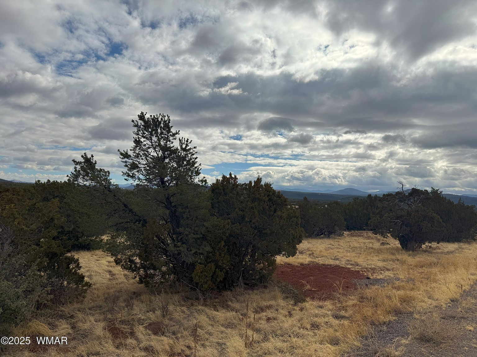 14 County Road 3340 Vernon, AZ 85940 - Thumbnail 4