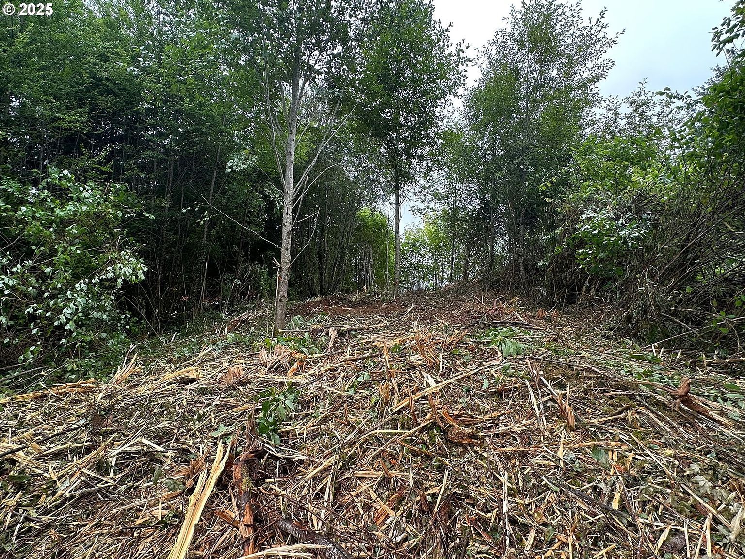 0 Bear Rd Seaside, OR 97138 - Thumbnail 4