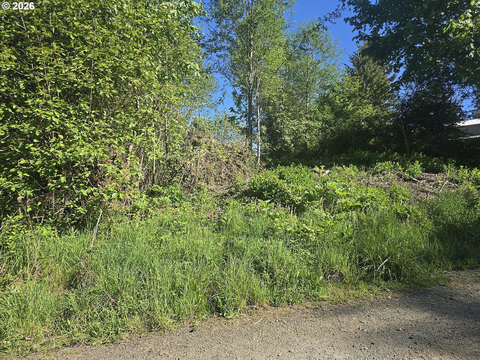 Bear Rd Seaside, OR 97138 - Thumbnail 4