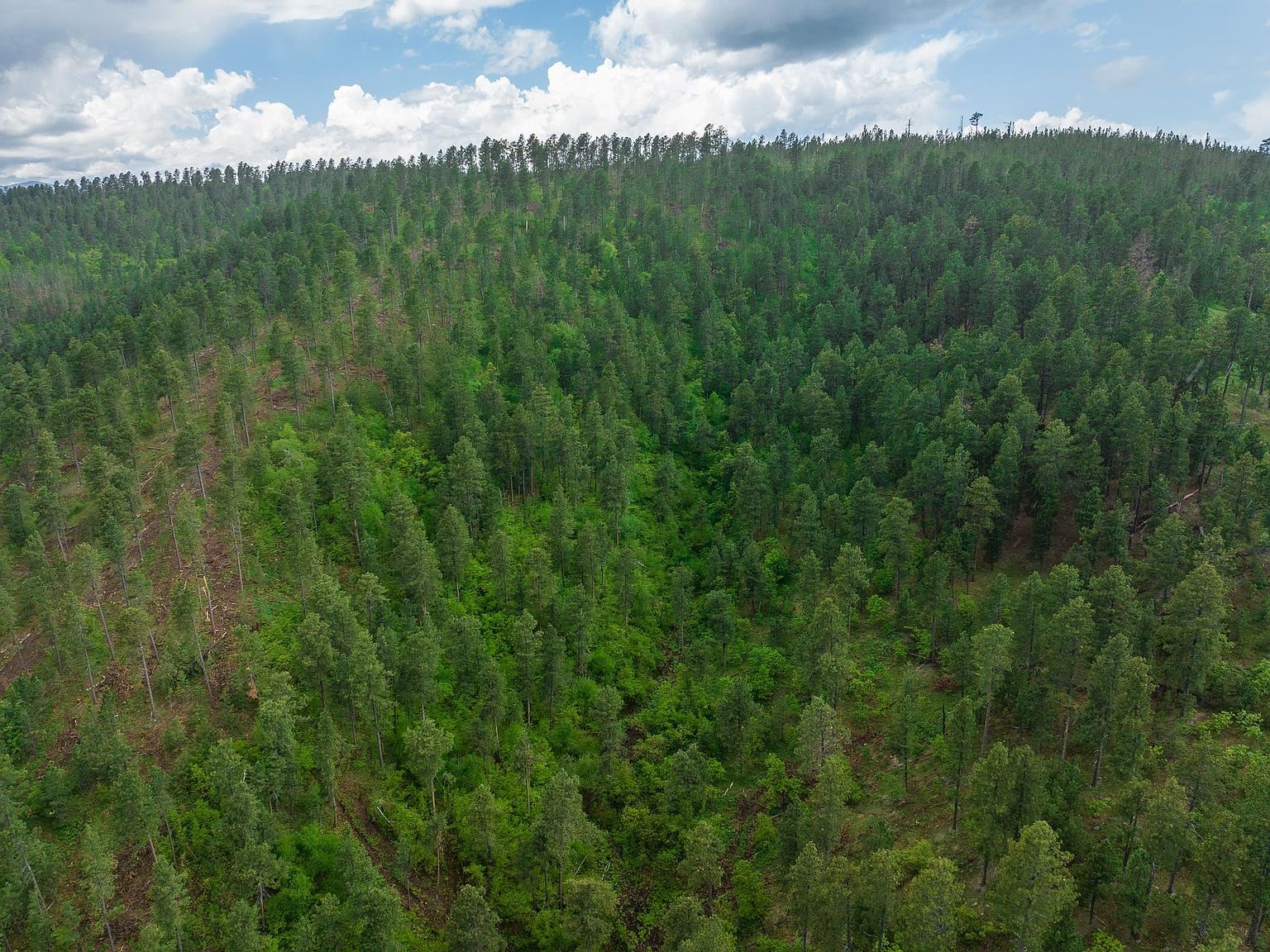 Crook Mountain Rd Sturgis, SD 57785 - Thumbnail 4