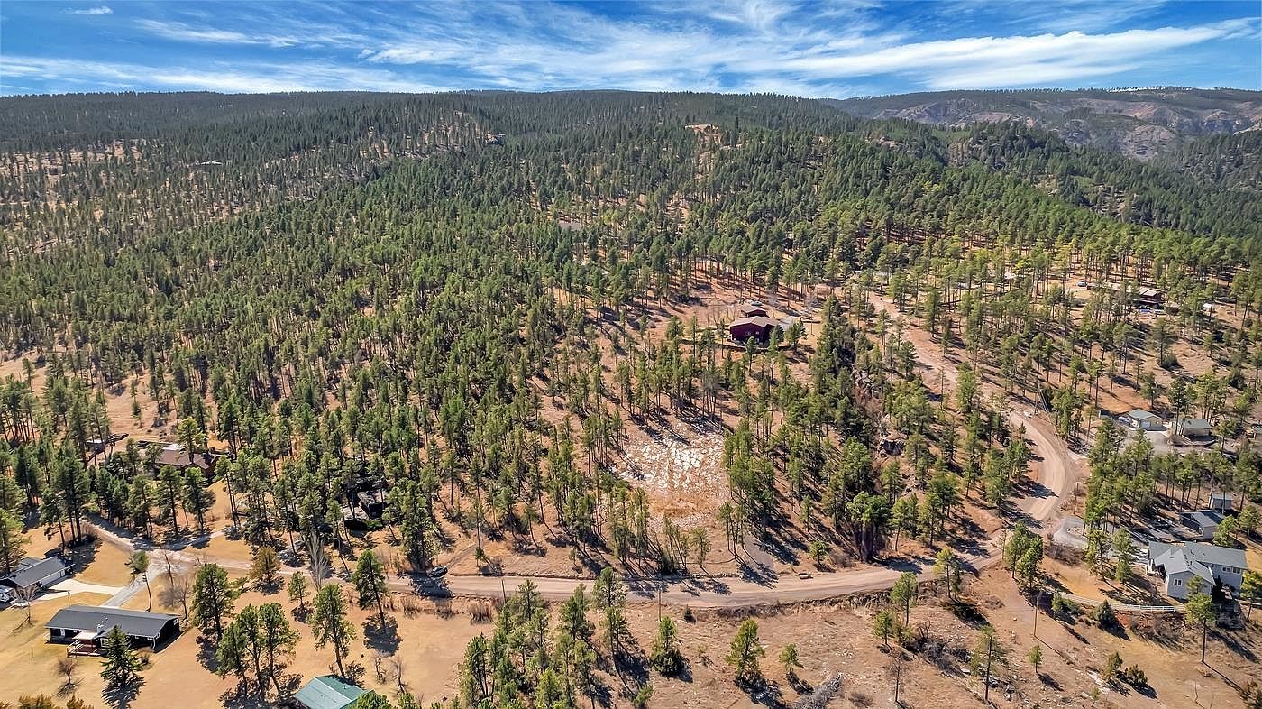 12767 Mohawk Dr Piedmont, SD 57769 - Thumbnail 4