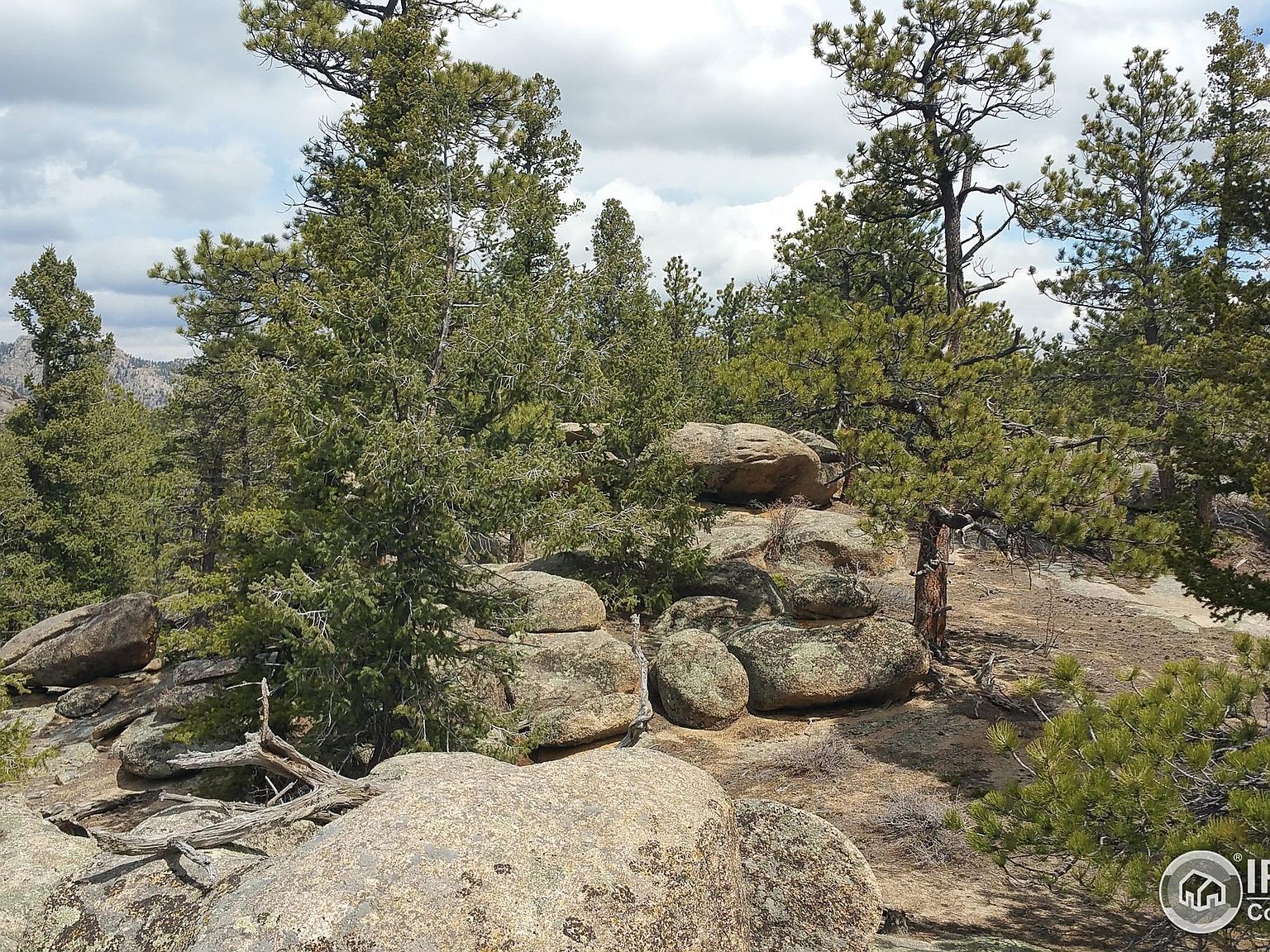 2928 Fox Acres Dr E Red Feather Lakes, CO 80545 | Land/Lot