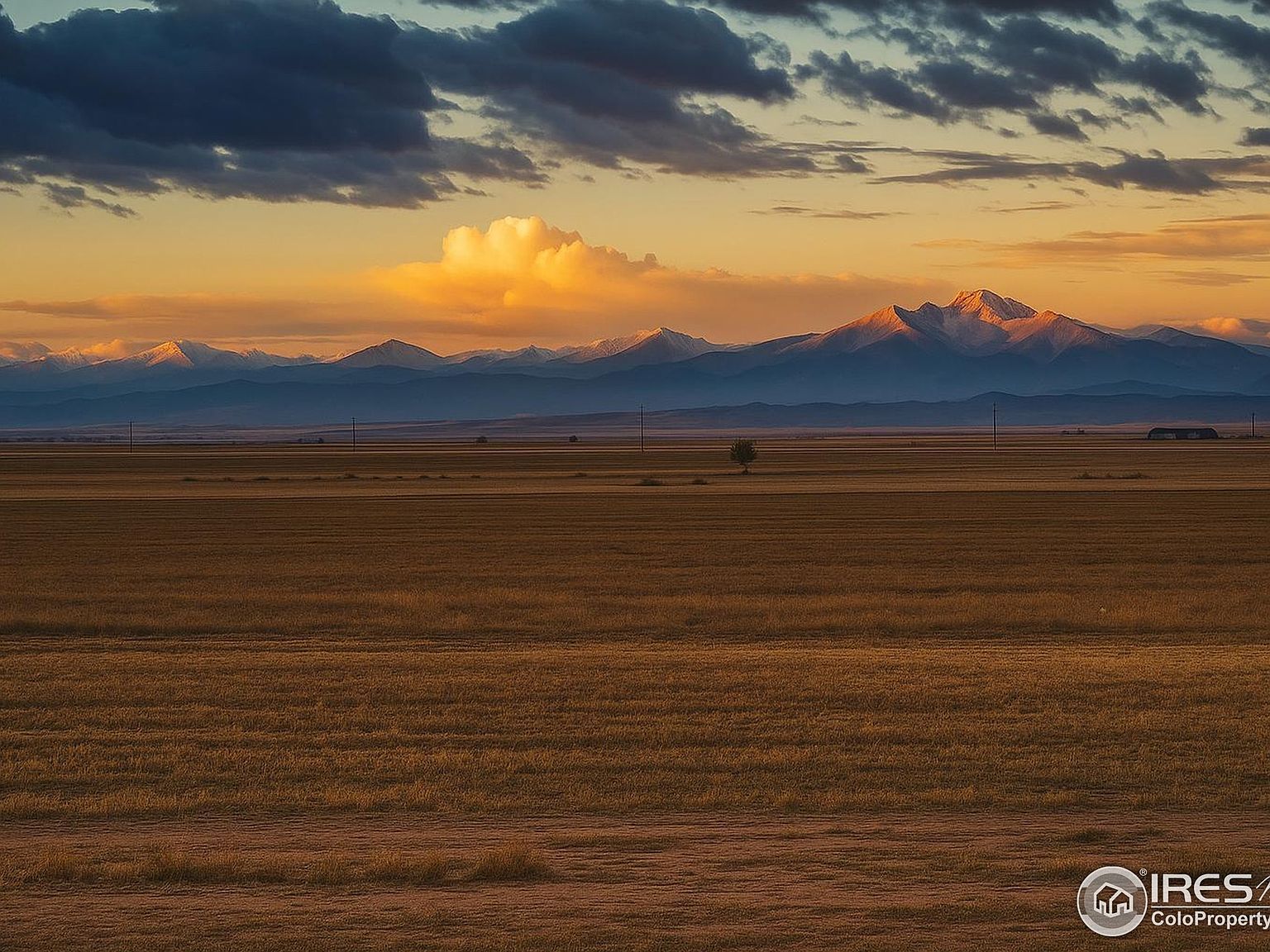 16692 County Road 94 Pierce, CO 80650 - Thumbnail 4